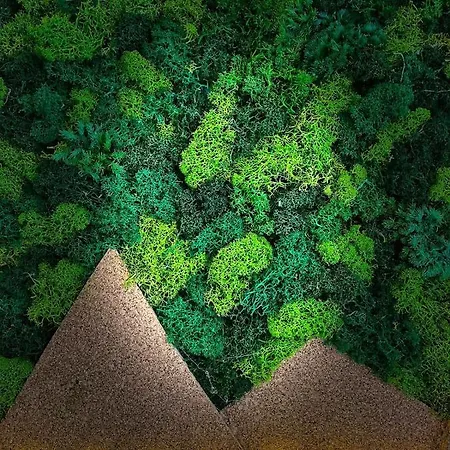 Moje Pieniny Apartmán Szczawnica