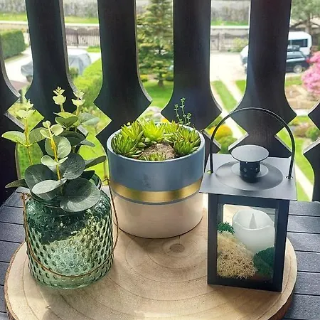 Moje Pieniny Szczawnica